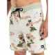 Quiksilver Ανδρικό μαγιό Surfsilk Scallop 18'' Board Shorts